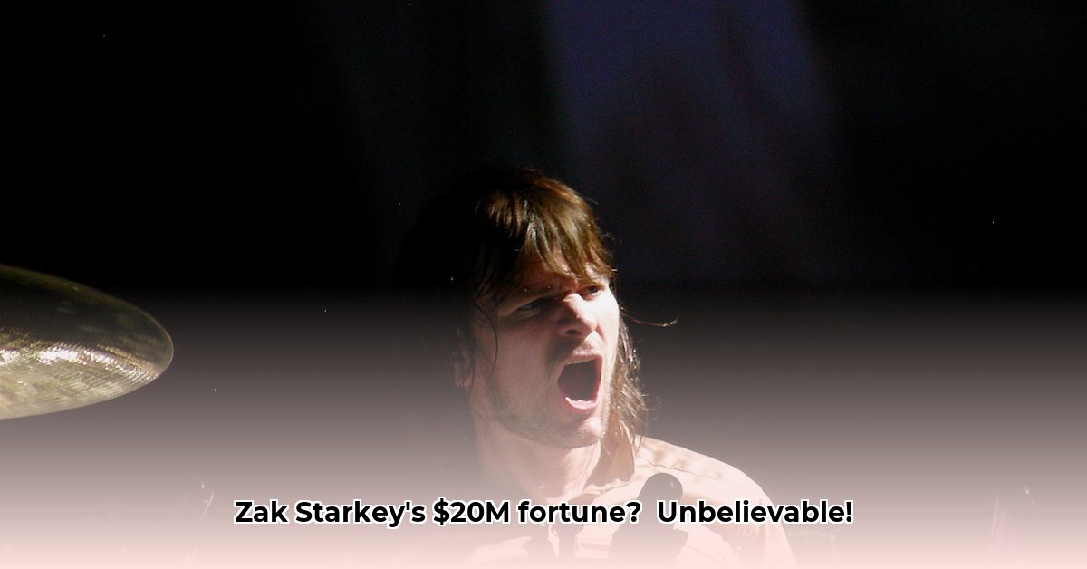 zak-starkey-net-worth